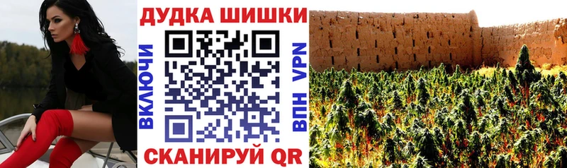 Где продают наркотики Кировск Амфетамин  A-PVP  Меф  Марихуана  COCAIN  БУТИРАТ  Гашиш  Псилоцибиновые грибы 