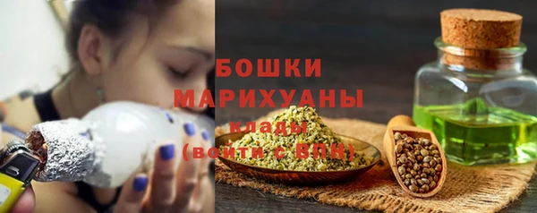 сатива Аркадак