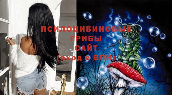 спиды Белокуриха