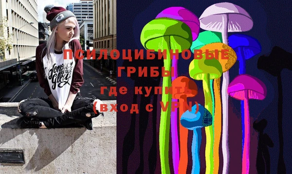 сатива Аркадак
