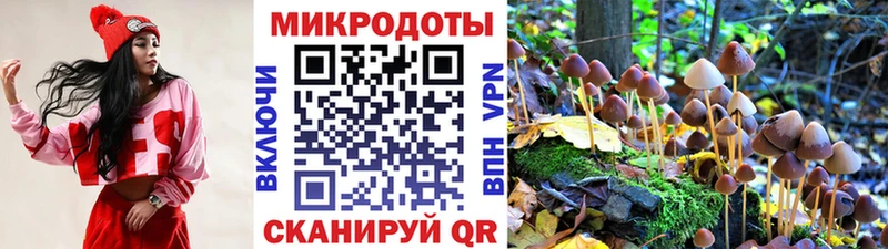 MEGA ССЫЛКА  где продают наркотики  Кировск  Галлюциногенные грибы ЛСД 